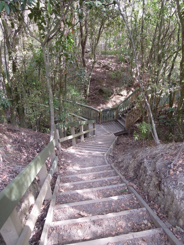 Convergence of three wooden walkways