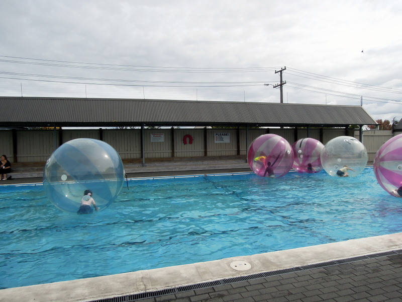Kids in big plastic balls on the surface of a swimming pool