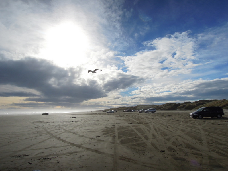 Cars, Oreti Beach, New Zealand