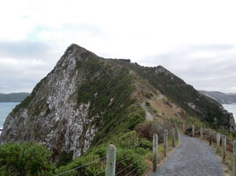 Trail, Nugget Point, New Zealand