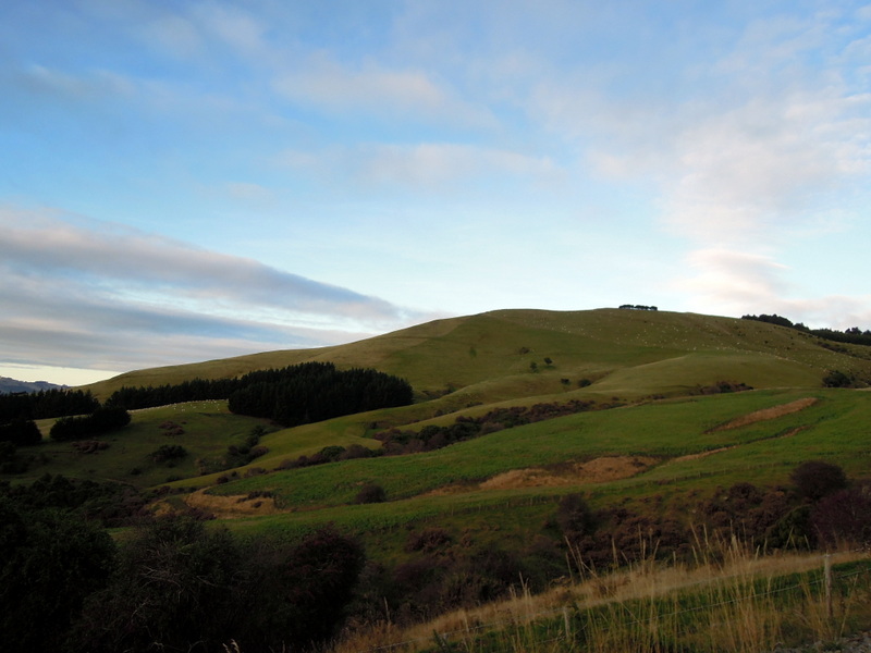 Late afternoon hills on the road to Larnach Castle, New Zealand