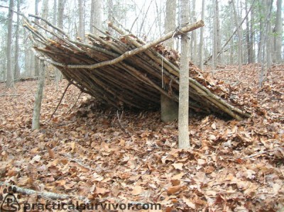 lean-to in autumn woods