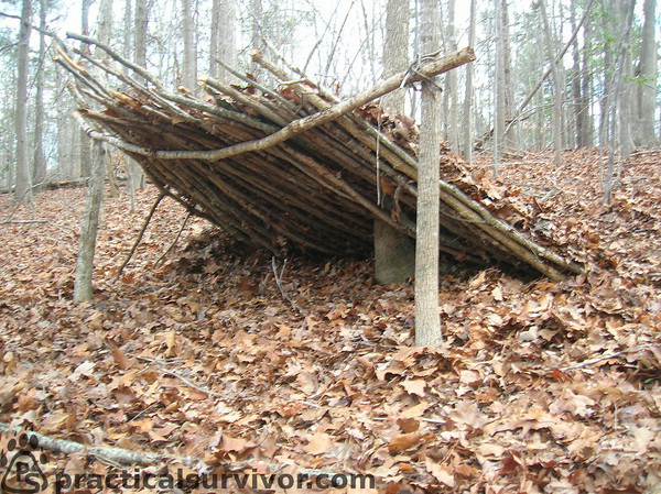 lean-to in autumn woods