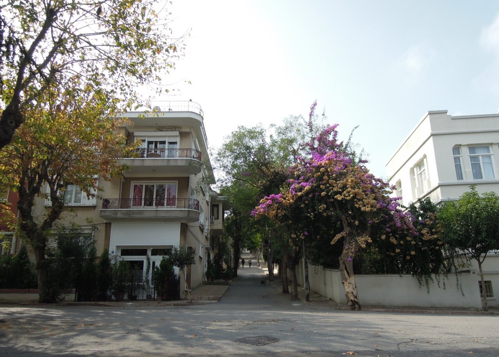 Bougainvillea and old buildings, Heybeliada, Princes Islands, Istanbul