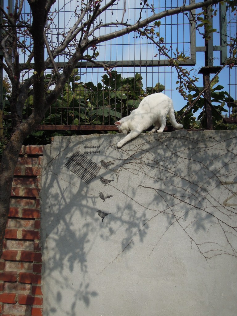 White cat and street art, Heybeliada, Princes Islands, Istanbul