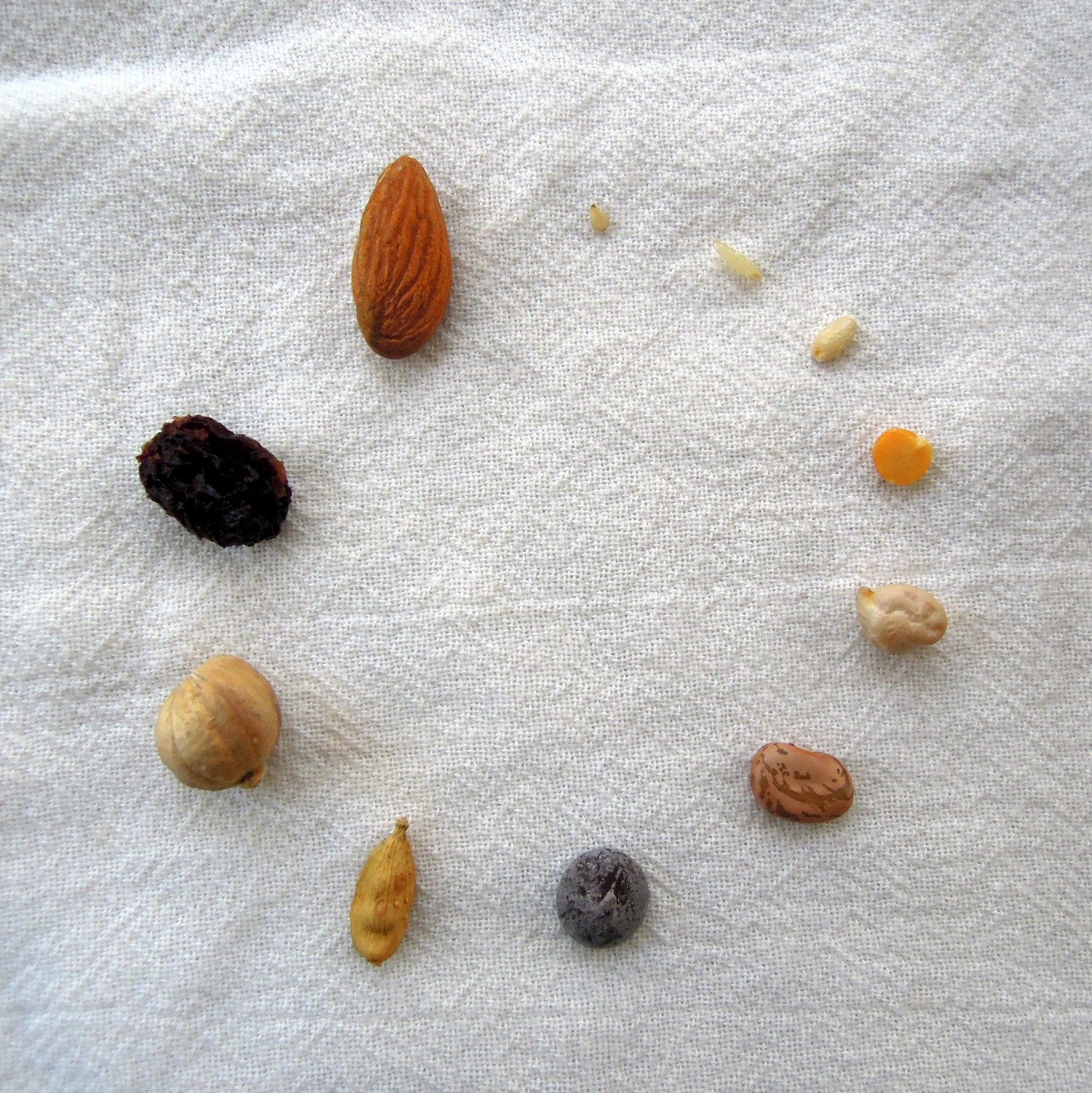 Seeds, nuts, legumes, etc, arranged in a circle on a white tea towel