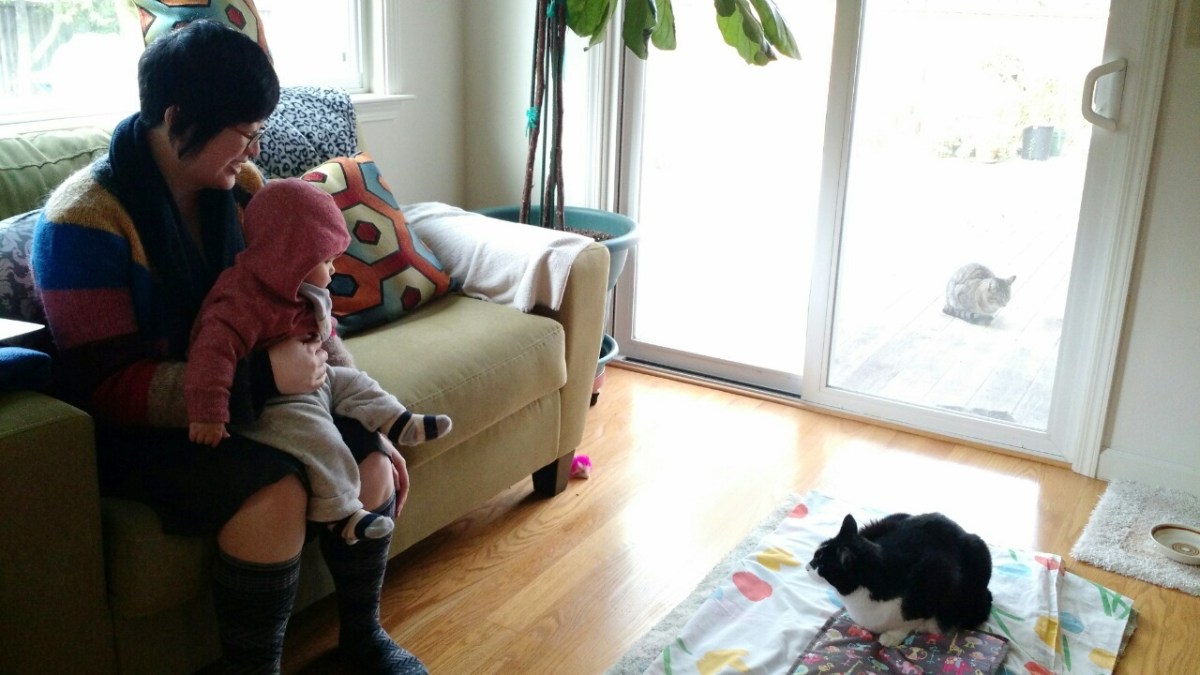 Lisa, nephew Teddy, and family cats