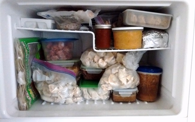 Contents of my freezer, March 2016