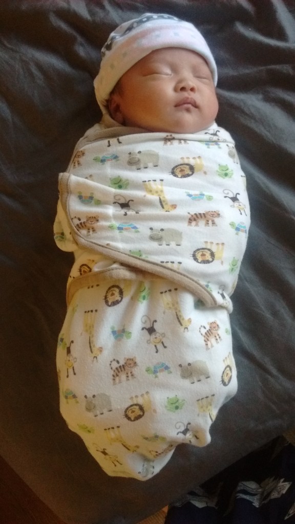 Three-week-old Ada all swaddled up