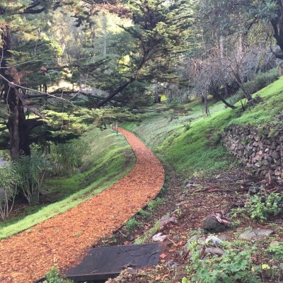 Grounds of Santa Sabina Center, San Rafael, CA