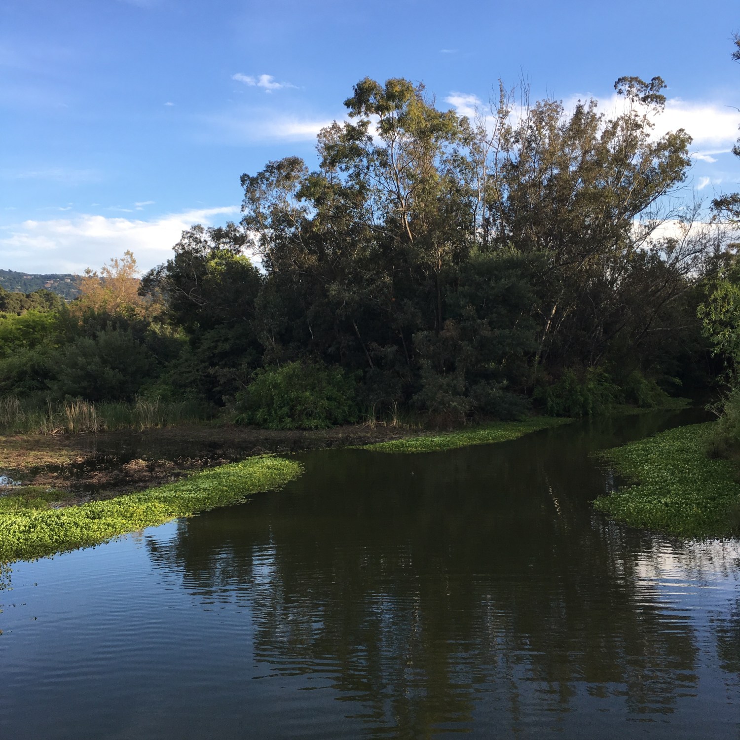Vasona Lake Park, Los Gatos, California