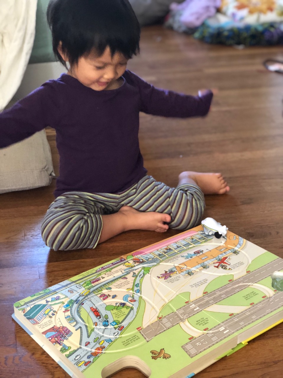 Owl playing with her airplane book