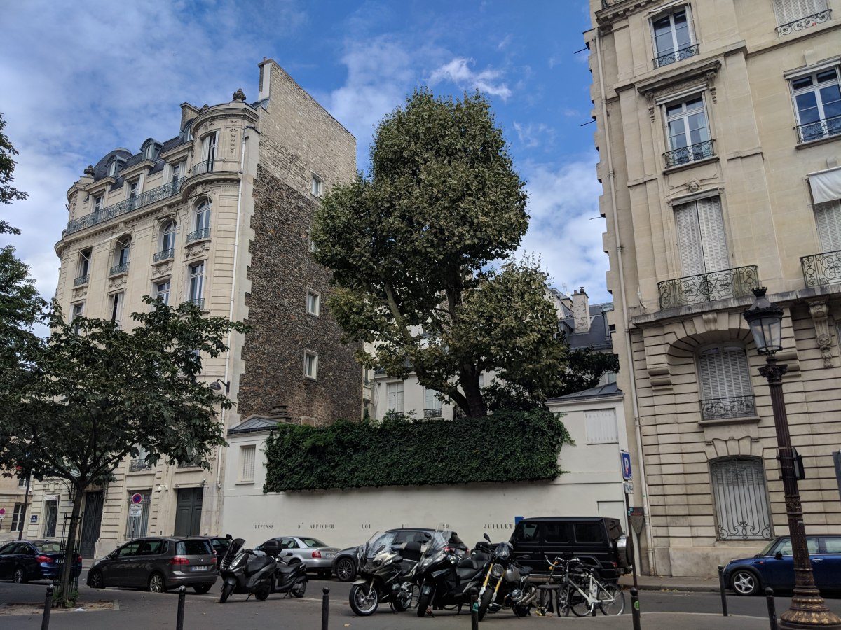 Rue de l'Universite, Paris