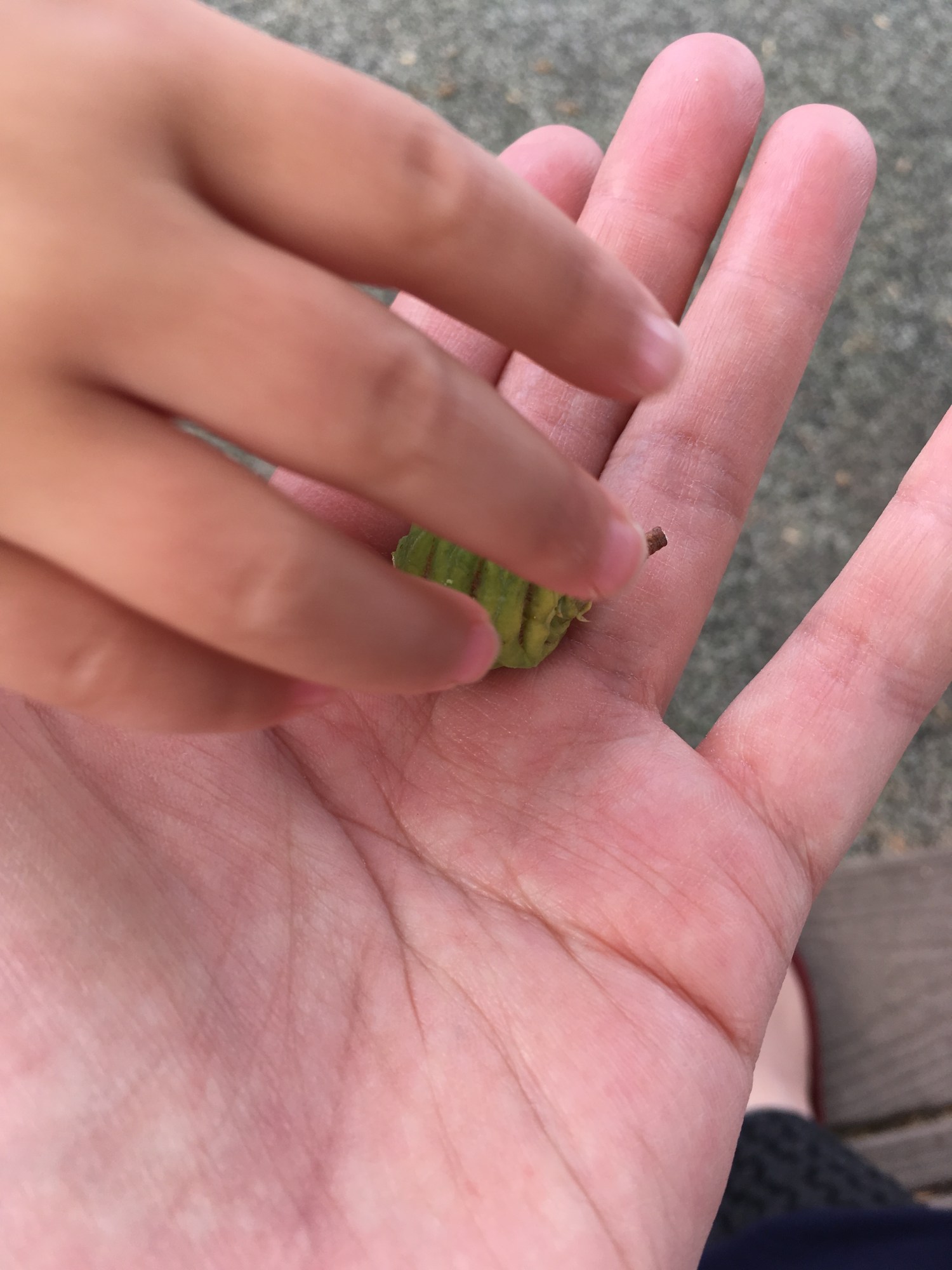 A child's hand places a small object in an adult's hand