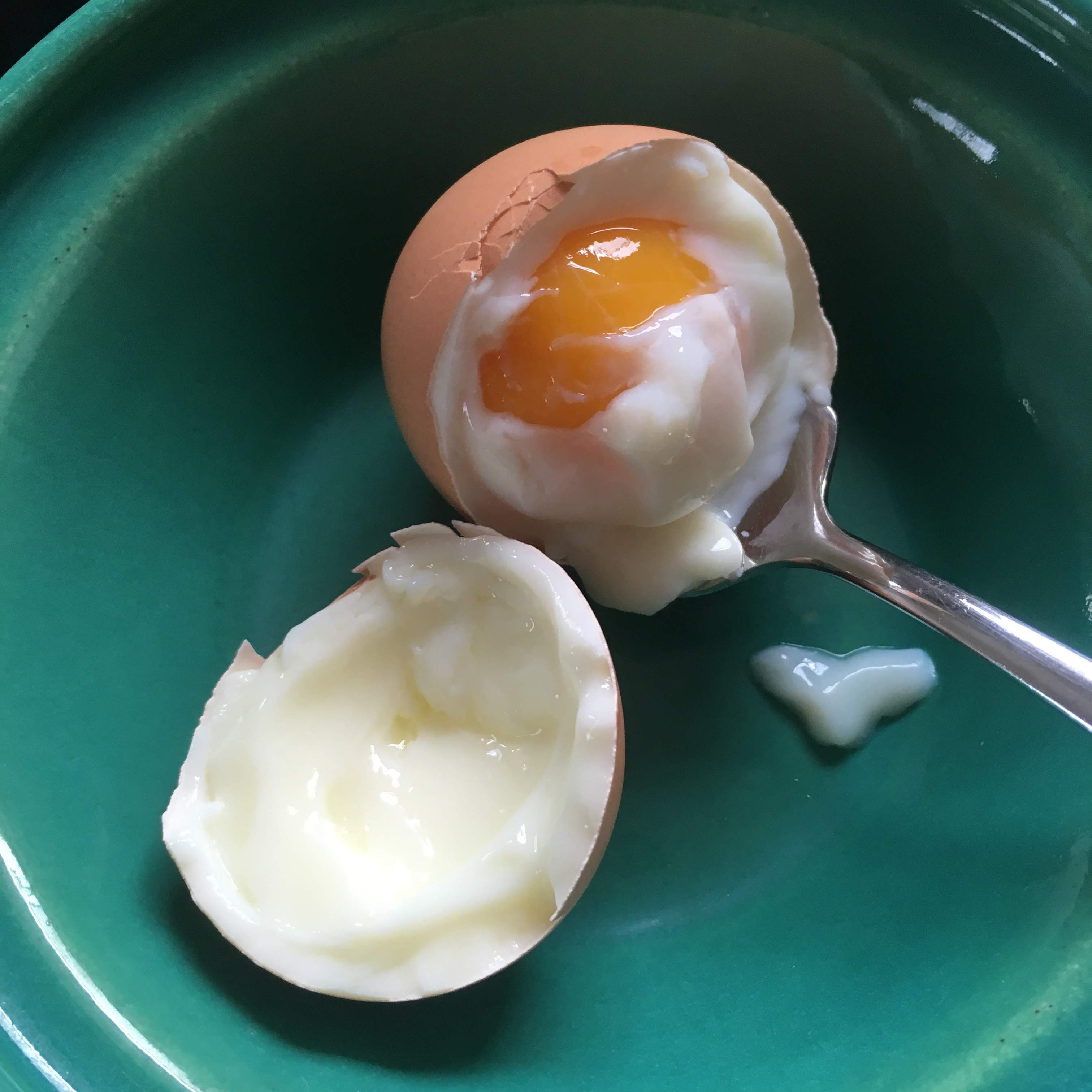 Sous-vide brown egg in shell