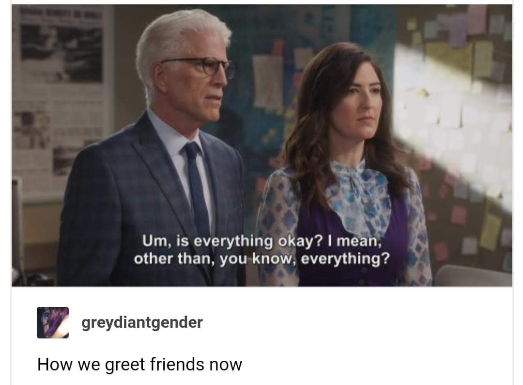 Meme: "Um, is everything okay? I mean, other than, you know, everything?" Greydiantgender: How we greet friends now