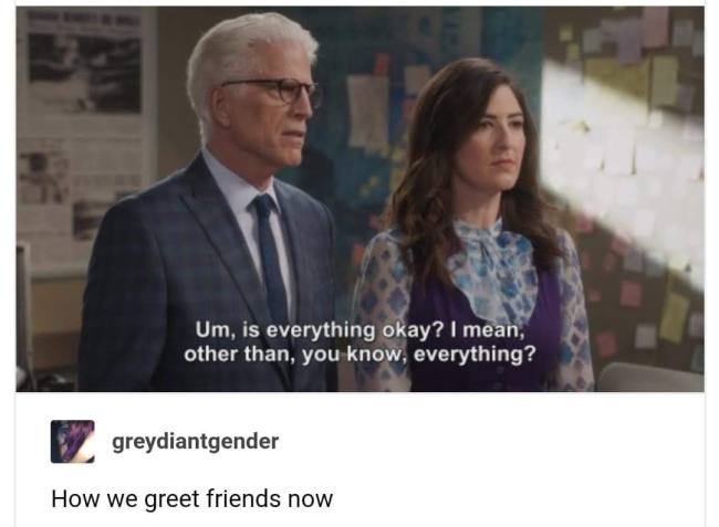 Meme: "Um, is everything okay? I mean, other than, you know, everything?" Greydiantgender: How we greet friends now