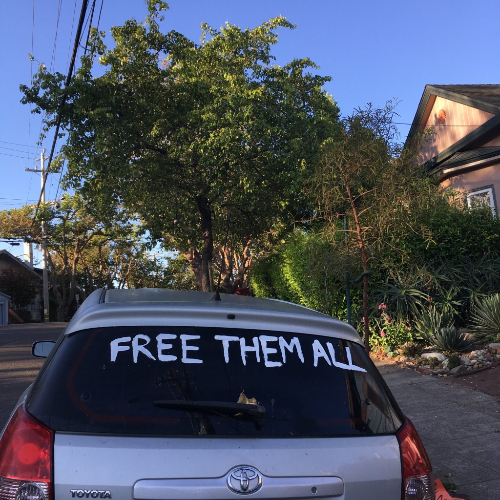 "FREE THEM ALL" painted on a rear windshield