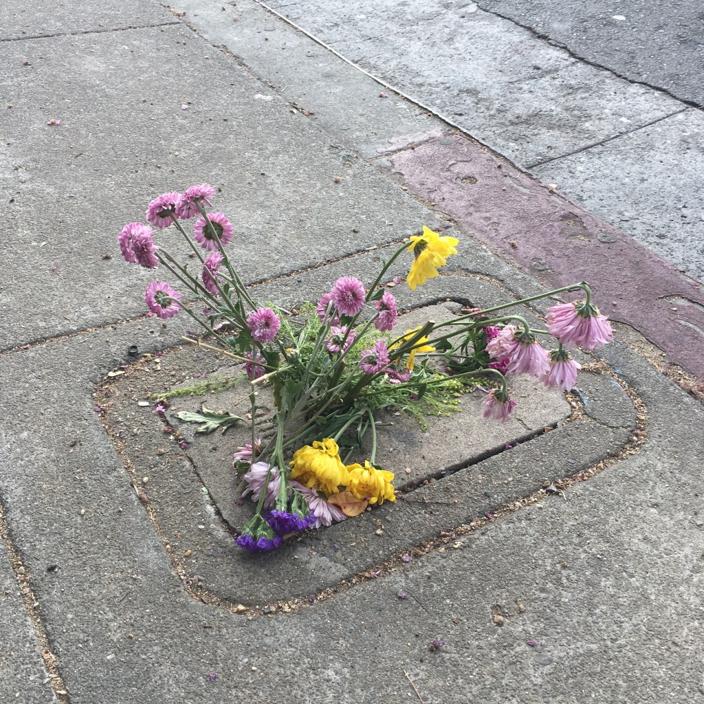 Pink, purple, and yellow flowers crammed into an opening on a sidewalk