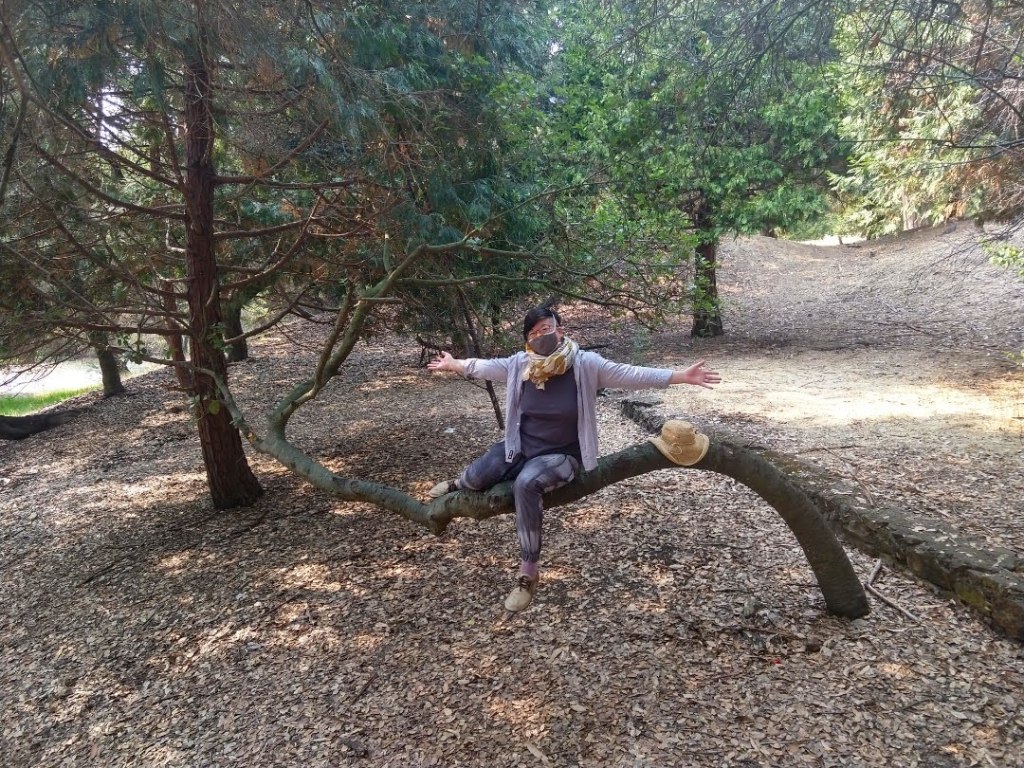 Short-haired Asian American person sitting on a curved tree trunk in Joaquin Miller Park