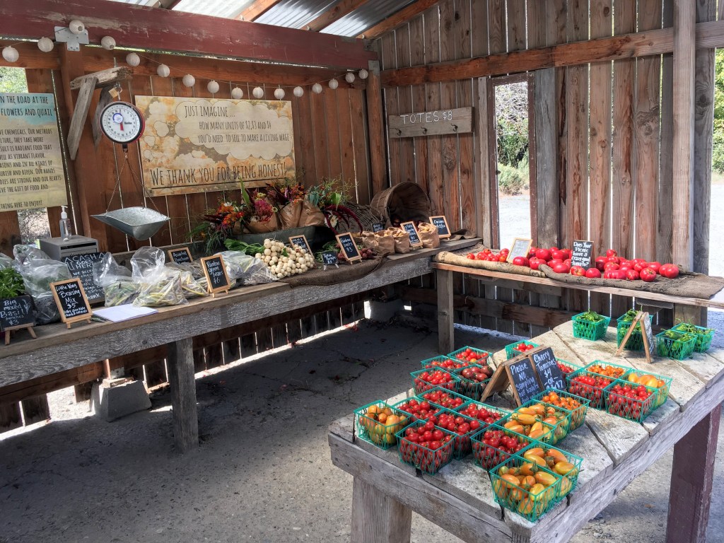 Little Wing Farmstand, Point Reyes Station