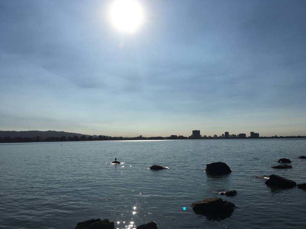 View of Emeryville from the Berkeley Marina