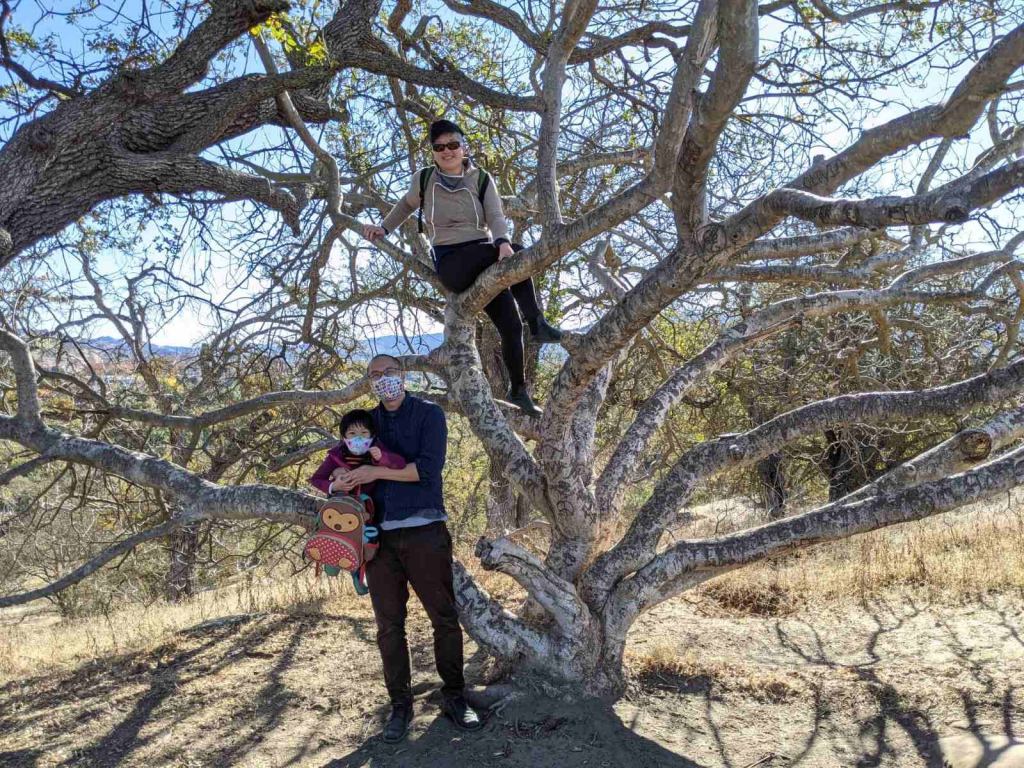Asian American parents and young child pose in and next to a spreading, leafless tree in the hills of San Jose, California